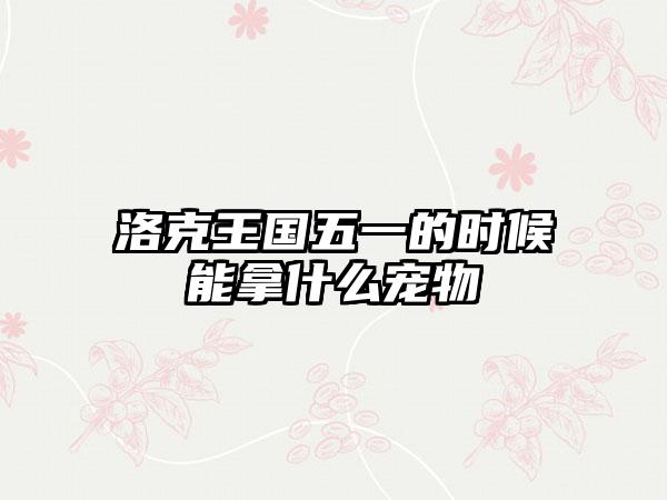 洛克王国五一的时候能拿什么宠物