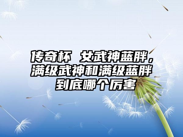 传奇杯 女武神蓝胖，满级武神和满级蓝胖 到底哪个厉害