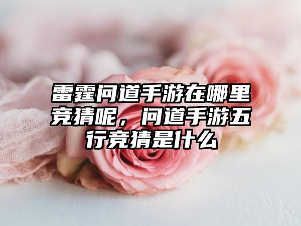 雷霆问道手游在哪里竞猜呢，问道手游五行竞猜是什么
