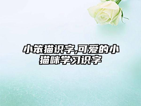 小笨猫识字,可爱的小猫咪学习识字