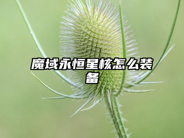 魔域永恒星核怎么装备