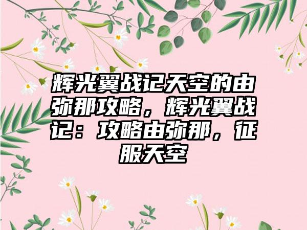 辉光翼战记天空的由弥那攻略，辉光翼战记：攻略由弥那，征服天空
