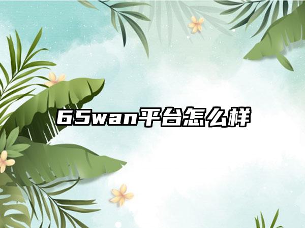 65wan平台怎么样