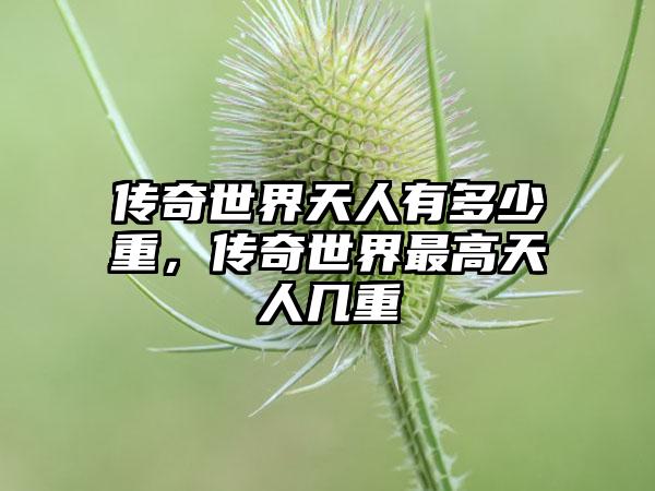 传奇世界天人有多少重，传奇世界最高天人几重