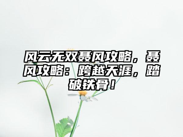 风云无双聂风攻略，聂风攻略：跨越天涯，踏破铁骨！