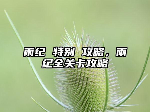 雨纪 特别 攻略，雨纪全关卡攻略