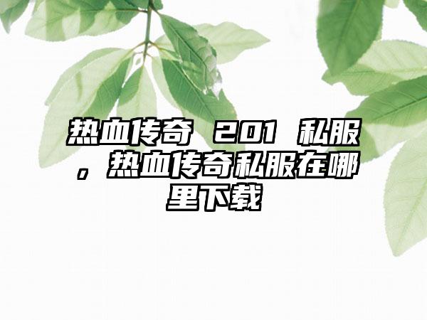 热血传奇 201 私服，热血传奇私服在哪里下载