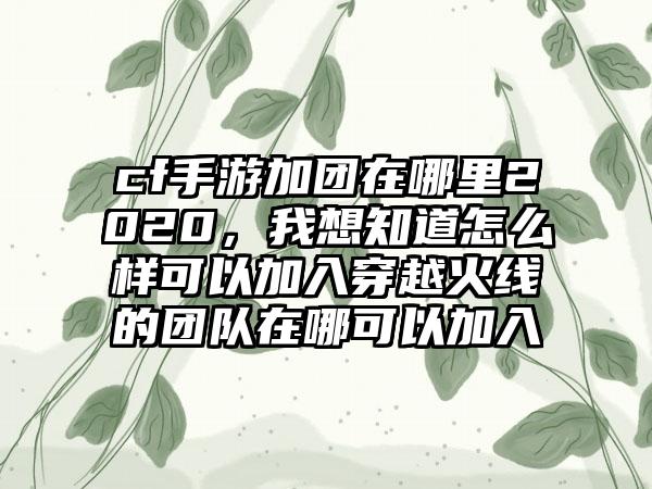 cf手游加团在哪里2020，我想知道怎么样可以加入穿越火线的团队在哪可以加入