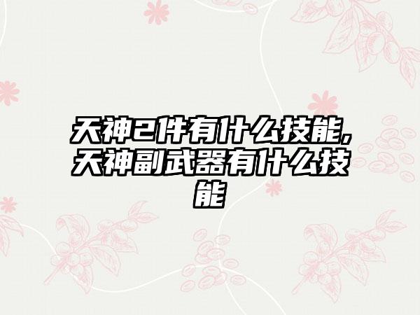 天神2件有什么技能,天神副武器有什么技能