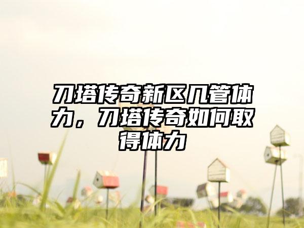 刀塔传奇新区几管体力，刀塔传奇如何取得体力