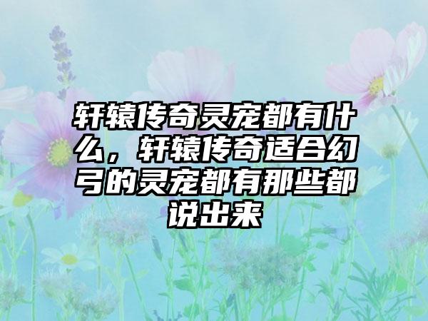 轩辕传奇灵宠都有什么，轩辕传奇适合幻弓的灵宠都有那些都说出来