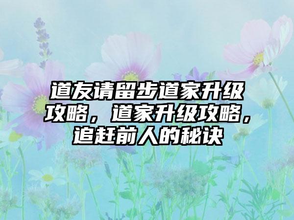 道友请留步道家升级攻略，道家升级攻略，追赶前人的秘诀