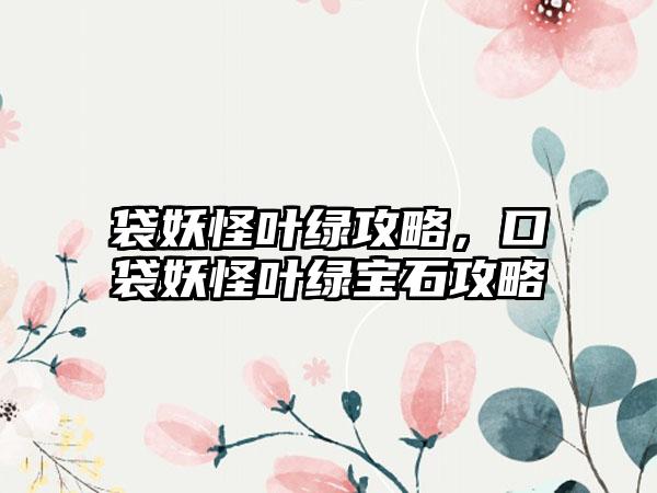 袋妖怪叶绿攻略，口袋妖怪叶绿宝石攻略