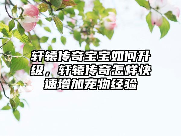 轩辕传奇宝宝如何升级，轩辕传奇怎样快速增加宠物经验