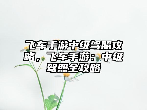 飞车手游中级驾照攻略，飞车手游：中级驾照全攻略
