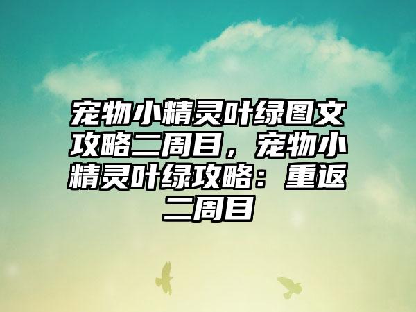 宠物小精灵叶绿图文攻略二周目，宠物小精灵叶绿攻略：重返二周目