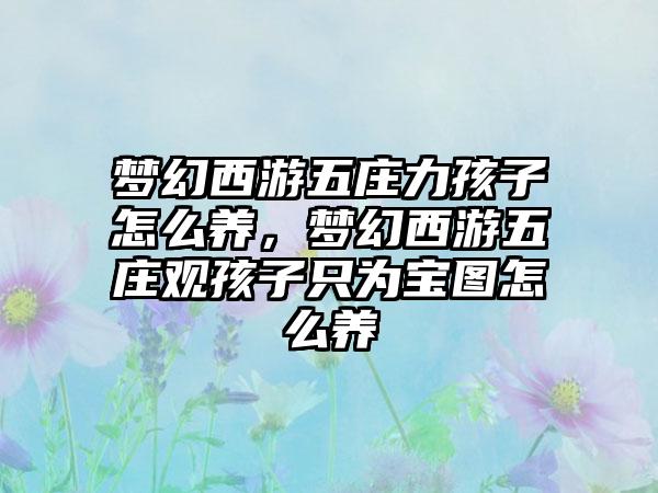 梦幻西游五庄力孩子怎么养，梦幻西游五庄观孩子只为宝图怎么养