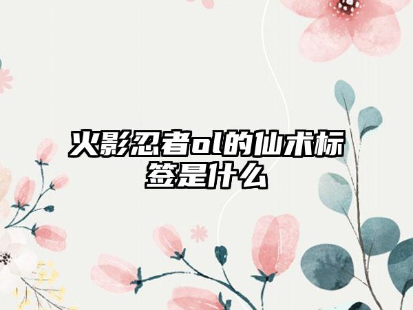 火影忍者ol的仙术标签是什么