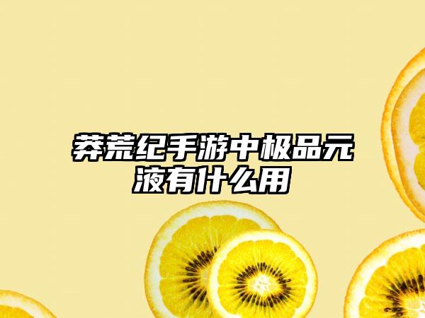 莽荒纪手游中极品元液有什么用