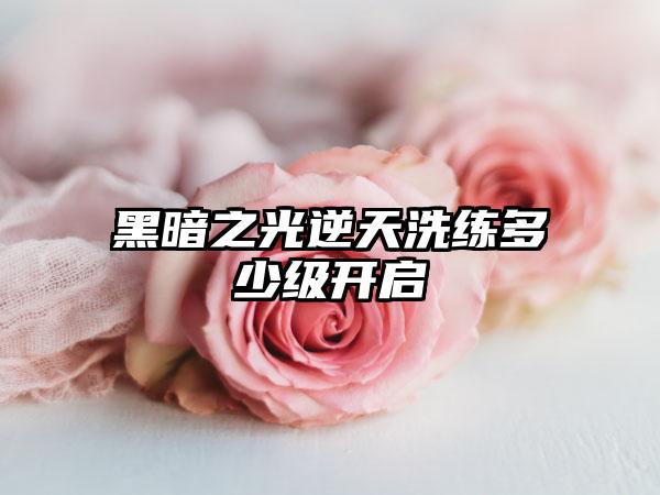 黑暗之光逆天洗练多少级开启