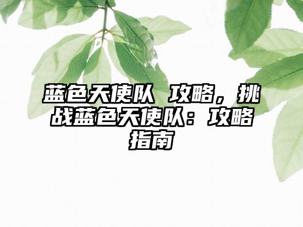 蓝色天使队 攻略，挑战蓝色天使队：攻略指南