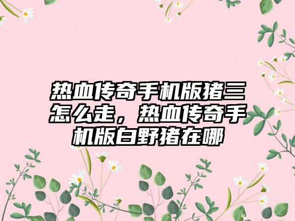 热血传奇手机版猪三怎么走，热血传奇手机版白野猪在哪