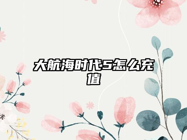 大航海时代5怎么充值