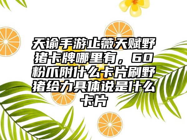 天谕手游止薇天赋野猪卡牌哪里有，60粉爪附什么卡片刷野猪给力具体说是什么卡片