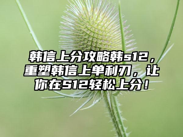 韩信上分攻略韩s12，重塑韩信上单利刃，让你在S12轻松上分！