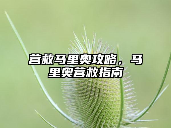 营救马里奥攻略，马里奥营救指南