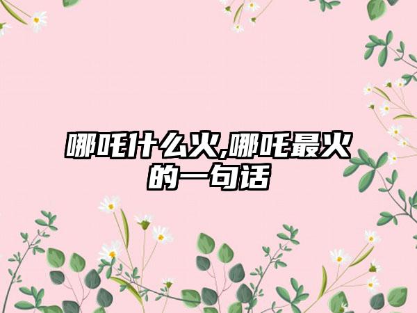 哪吒什么火,哪吒最火的一句话