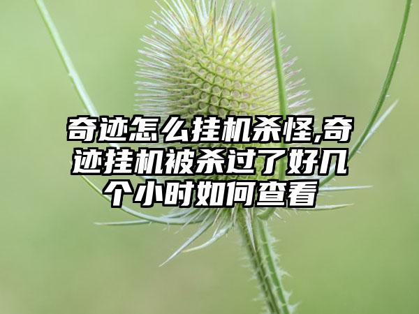 奇迹怎么挂机杀怪,奇迹挂机被杀过了好几个小时如何查看
