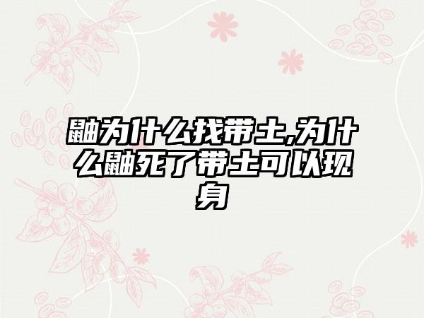鼬为什么找带土,为什么鼬死了带土可以现身