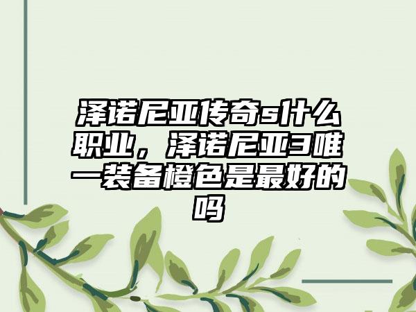 泽诺尼亚传奇s什么职业，泽诺尼亚3唯一装备橙色是最好的吗