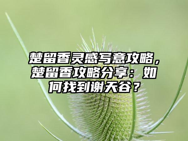 楚留香灵感写意攻略，楚留香攻略分享：如何找到谢天谷？