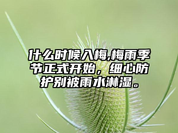什么时候入梅,梅雨季节正式开始，细心防护别被雨水淋湿。