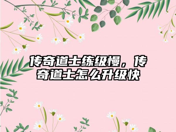 传奇道士练级慢，传奇道士怎么升级快