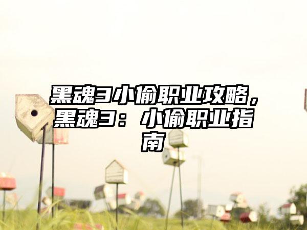 黑魂3小偷职业攻略，黑魂3：小偷职业指南