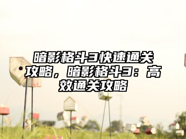 暗影格斗3快速通关攻略，暗影格斗3：高效通关攻略