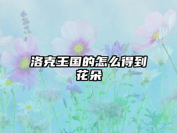 洛克王国的怎么得到花朵