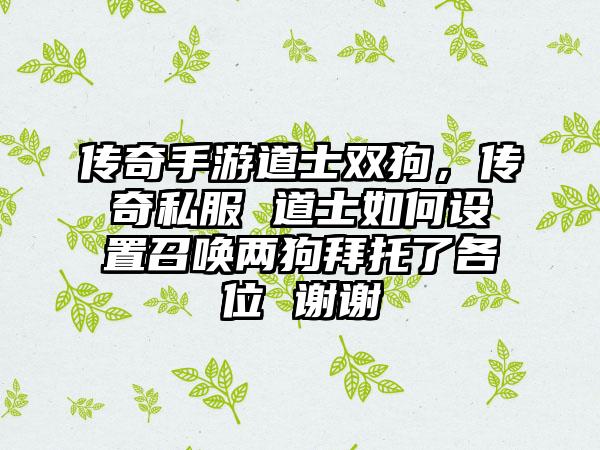 传奇手游道士双狗，传奇私服 道士如何设置召唤两狗拜托了各位 谢谢