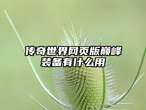 传奇世界网页版巅峰装备有什么用