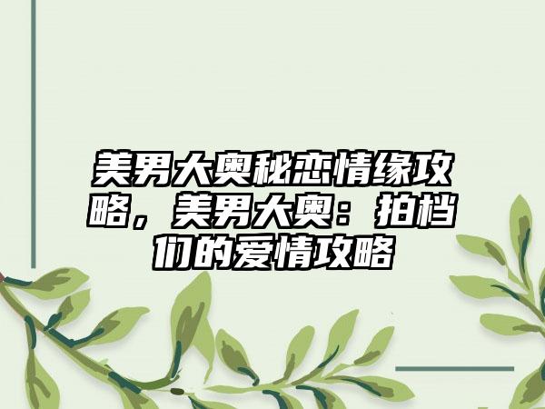 美男大奥秘恋情缘攻略，美男大奥：拍档们的爱情攻略