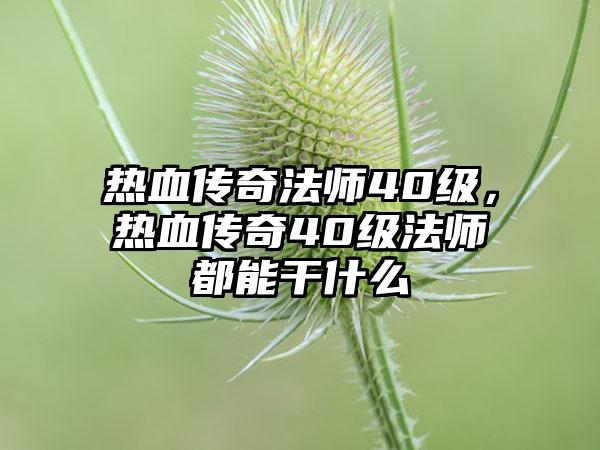 热血传奇法师40级，热血传奇40级法师都能干什么