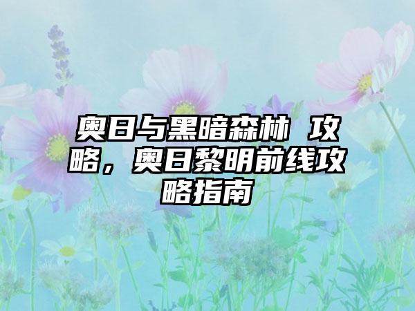 奥日与黑暗森林 攻略，奥日黎明前线攻略指南