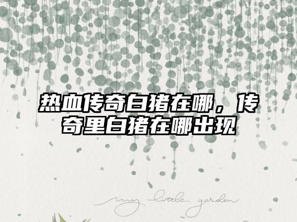 热血传奇白猪在哪，传奇里白猪在哪出现