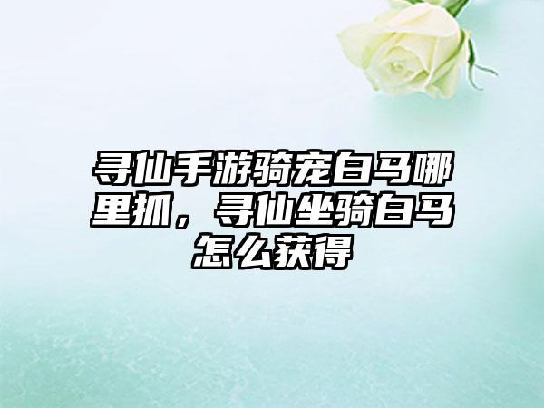 寻仙手游骑宠白马哪里抓，寻仙坐骑白马怎么获得
