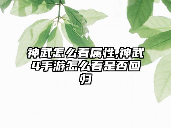神武怎么看属性,神武4手游怎么看是否回归
