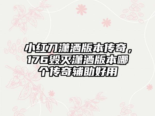 小红刀潇洒版本传奇，176毁灭潇洒版本哪个传奇辅助好用