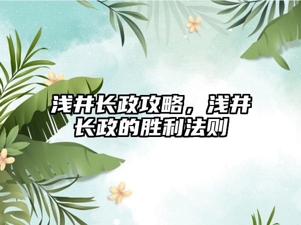 浅井长政攻略，浅井长政的胜利法则
